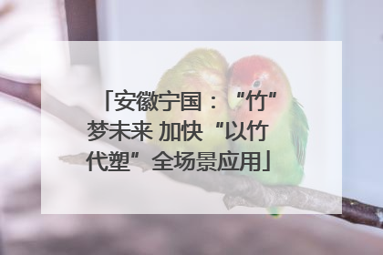 安徽宁国：“竹”梦未来 加快“以竹代塑”全场景应用