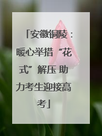 安徽铜陵：暖心举措“花式”解压 助力考生迎接高考