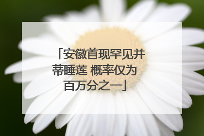 安徽首现罕见并蒂睡莲 概率仅为百万分之一