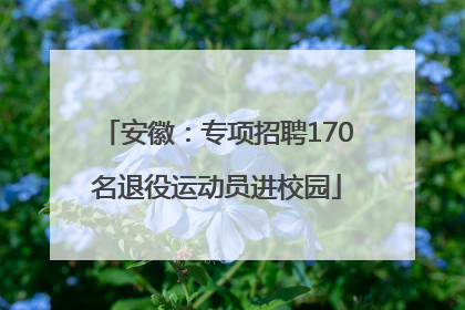 安徽：专项招聘170名退役运动员进校园