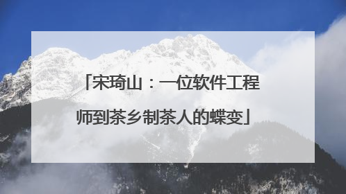 宋琦山：一位软件工程师到茶乡制茶人的蝶变