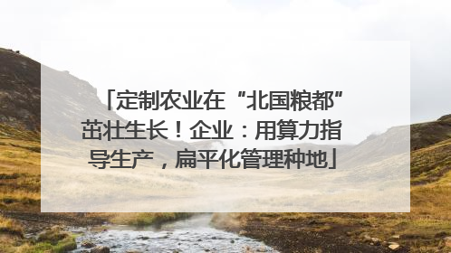 定制农业在“北国粮都”茁壮生长！企业：用算力指导生产，扁平化管理种地