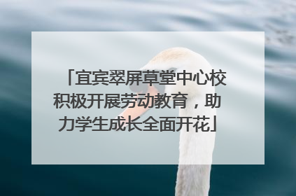 宜宾翠屏草堂中心校积极开展劳动教育，助力学生成长全面开花