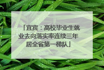 宜宾：高校毕业生就业去向落实率连续三年居全省第一梯队