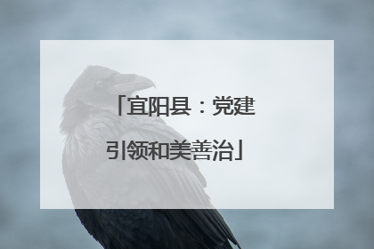 宜阳县：党建引领和美善治