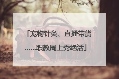 宠物针灸、直播带货……职教周上秀绝活