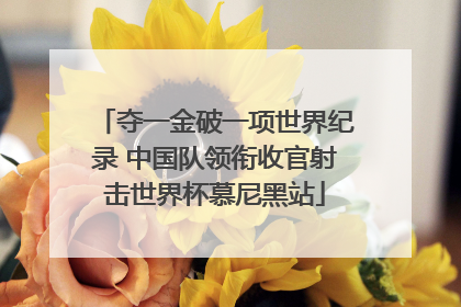 夺一金破一项世界纪录 中国队领衔收官射击世界杯慕尼黑站
