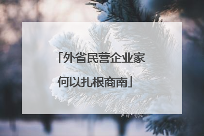 外省民营企业家何以扎根商南
