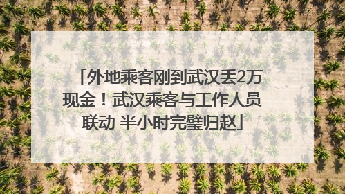 外地乘客刚到武汉丢2万现金！武汉乘客与工作人员联动 半小时完璧归赵