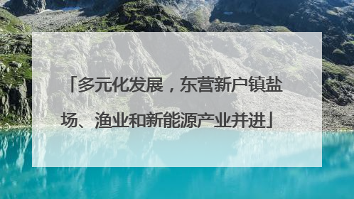 多元化发展，东营新户镇盐场、渔业和新能源产业并进