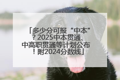 多少分可报“中本”？2025中本贯通、中高职贯通等计划公布！附2024分数线