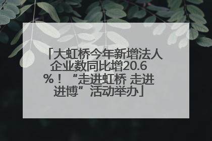 大虹桥今年新增法人企业数同比增20.6%！“走进虹桥 走进进博”活动举办