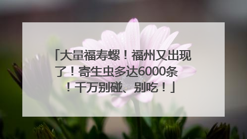 大量福寿螺！福州又出现了！寄生虫多达6000条！千万别碰、别吃！