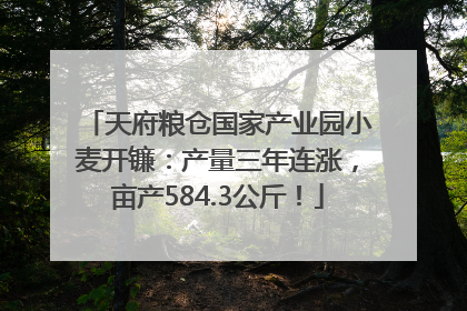 天府粮仓国家产业园小麦开镰：产量三年连涨，亩产584.3公斤！