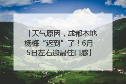 天气原因，成都本地杨梅“迟到”了！6月5日左右迎最佳口感