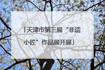 天津市第三届“非遗小匠”作品展开展