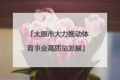 太原市大力推动体育事业高质量发展