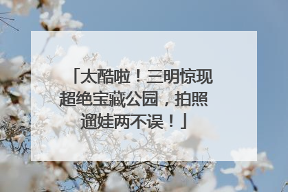太酷啦！三明惊现超绝宝藏公园，拍照遛娃两不误！