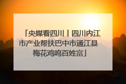 央媒看四川丨四川内江市产业帮扶巴中市通江县 梅花鸡鸣百姓富