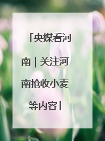 央媒看河南｜关注河南抢收小麦等内容