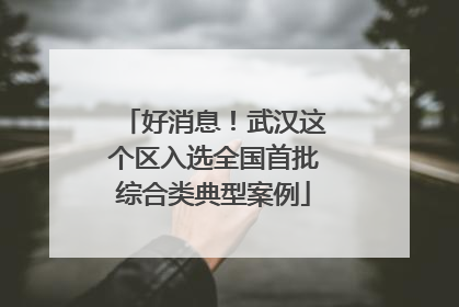 好消息！武汉这个区入选全国首批综合类典型案例