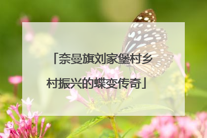 奈曼旗刘家堡村乡村振兴的蝶变传奇