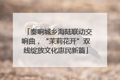 奏响城乡海陆联动交响曲，“茉莉花开”双线绽放文化惠民新篇