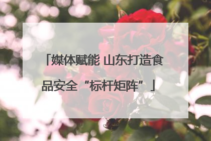 媒体赋能 山东打造食品安全“标杆矩阵”