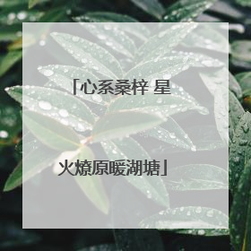 心系桑梓 星火燎原暖湖塘