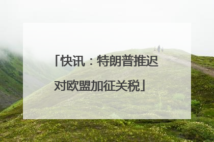 快讯：特朗普推迟对欧盟加征关税
