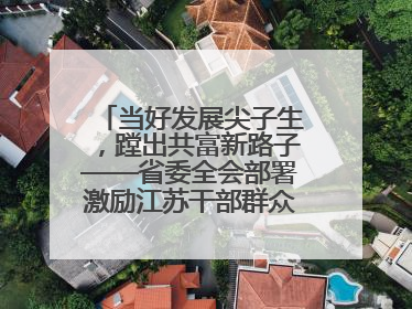 当好发展尖子生，蹚出共富新路子——省委全会部署激励江苏干部群众促进全体人民共同富裕