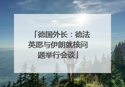 德国外长：德法英愿与伊朗就核问题举行会谈