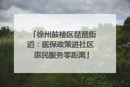 徐州鼓楼区琵琶街道：医保政策进社区 惠民服务零距离