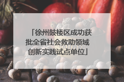 徐州鼓楼区成功获批全省社会救助领域创新实践试点单位