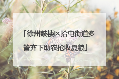 徐州鼓楼区拾屯街道多管齐下助农抢收夏粮