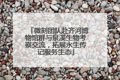微刻团队赴齐河博物馆群与泉溪生物考察交流，拓展永生传记服务生态