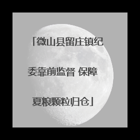 微山县留庄镇纪委靠前监督 保障夏粮颗粒归仓
