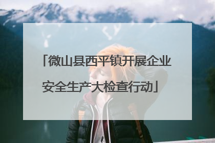 微山县西平镇开展企业安全生产大检查行动