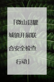 微山县驩城镇开展联合安全检查行动