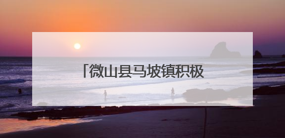 微山县马坡镇积极开展夏收工作 “秸”尽其用助增收