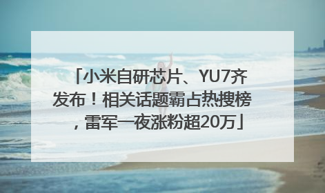 小米自研芯片、YU7齐发布！相关话题霸占热搜榜，雷军一夜涨粉超20万