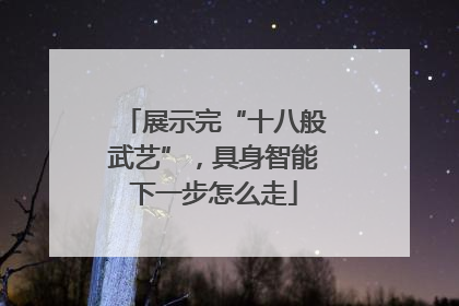 展示完“十八般武艺”，具身智能下一步怎么走