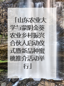 山东农业大学与蒙阴金葵农业乡村振兴合伙人启动仪式暨新品种蜜桃推介活动举行