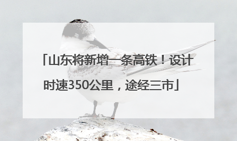 山东将新增一条高铁！设计时速350公里，途经三市