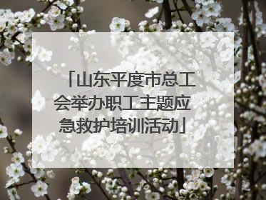 山东平度市总工会举办职工主题应急救护培训活动
