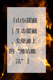 山东援藏｜生态援藏，戈壁滩上的“潍坊魔法”