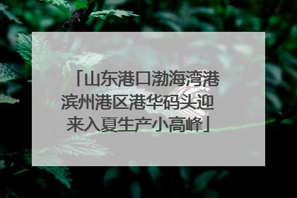 山东港口渤海湾港滨州港区港华码头迎来入夏生产小高峰