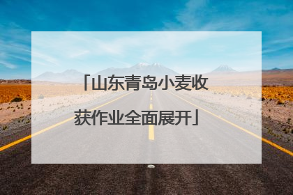 山东青岛小麦收获作业全面展开