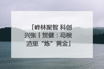 峰林聚智 科创兴张丨贺健：葛根渣里“炼”黄金