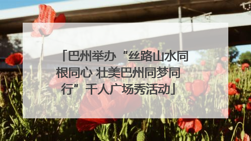 巴州举办“丝路山水同根同心 壮美巴州同梦同行”千人广场秀活动
